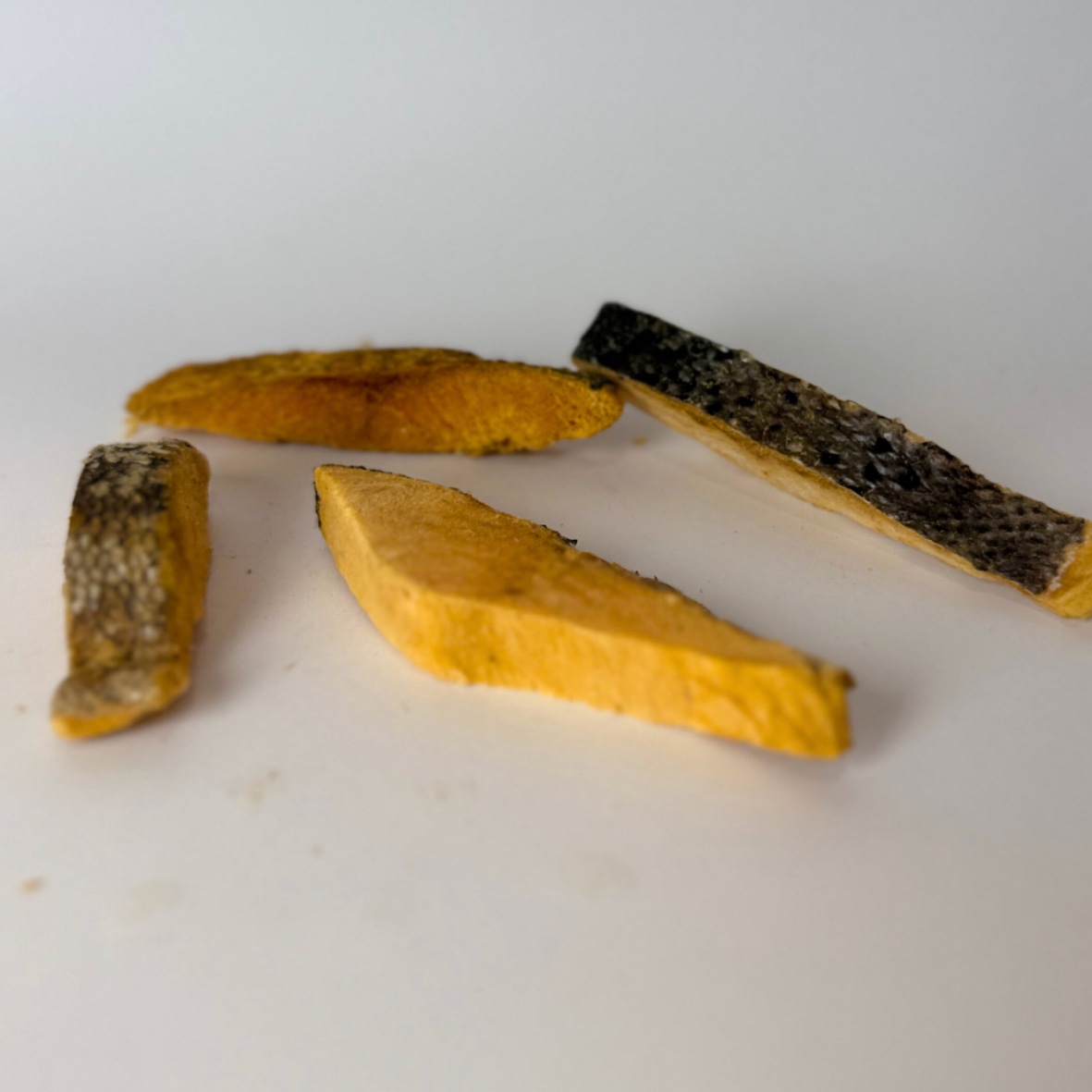 Kyndred Paws Freeze Dried Salmon Fillet