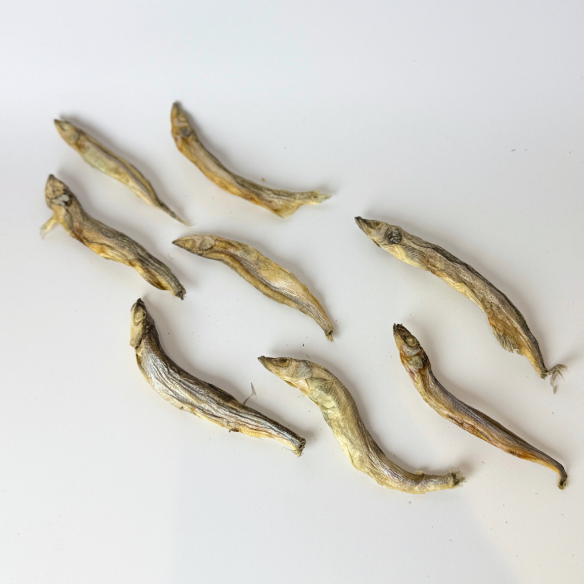 Kyndred Paws Freeze Dried Shishamo Fish