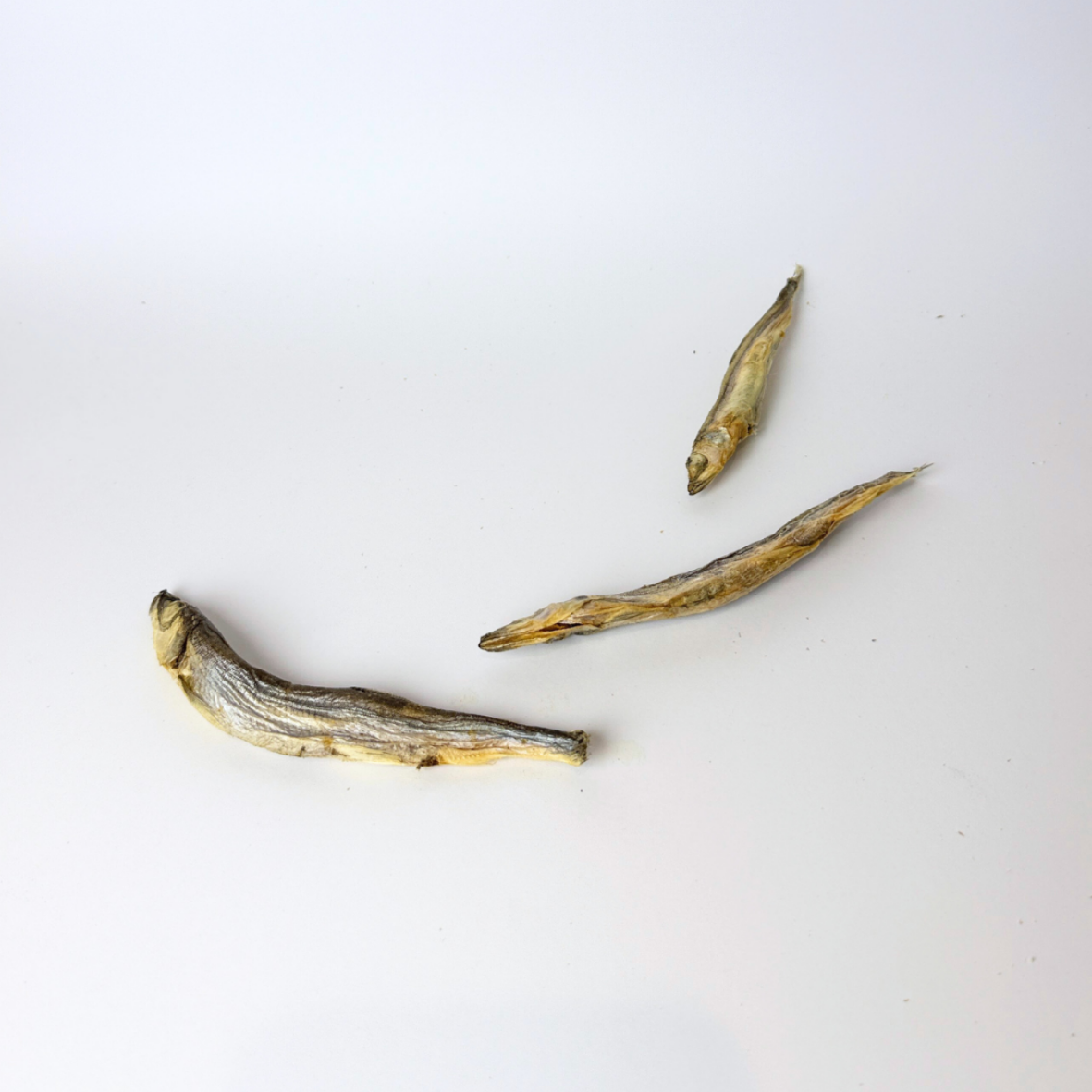 Kyndred Paws Freeze Dried Shishamo Fish