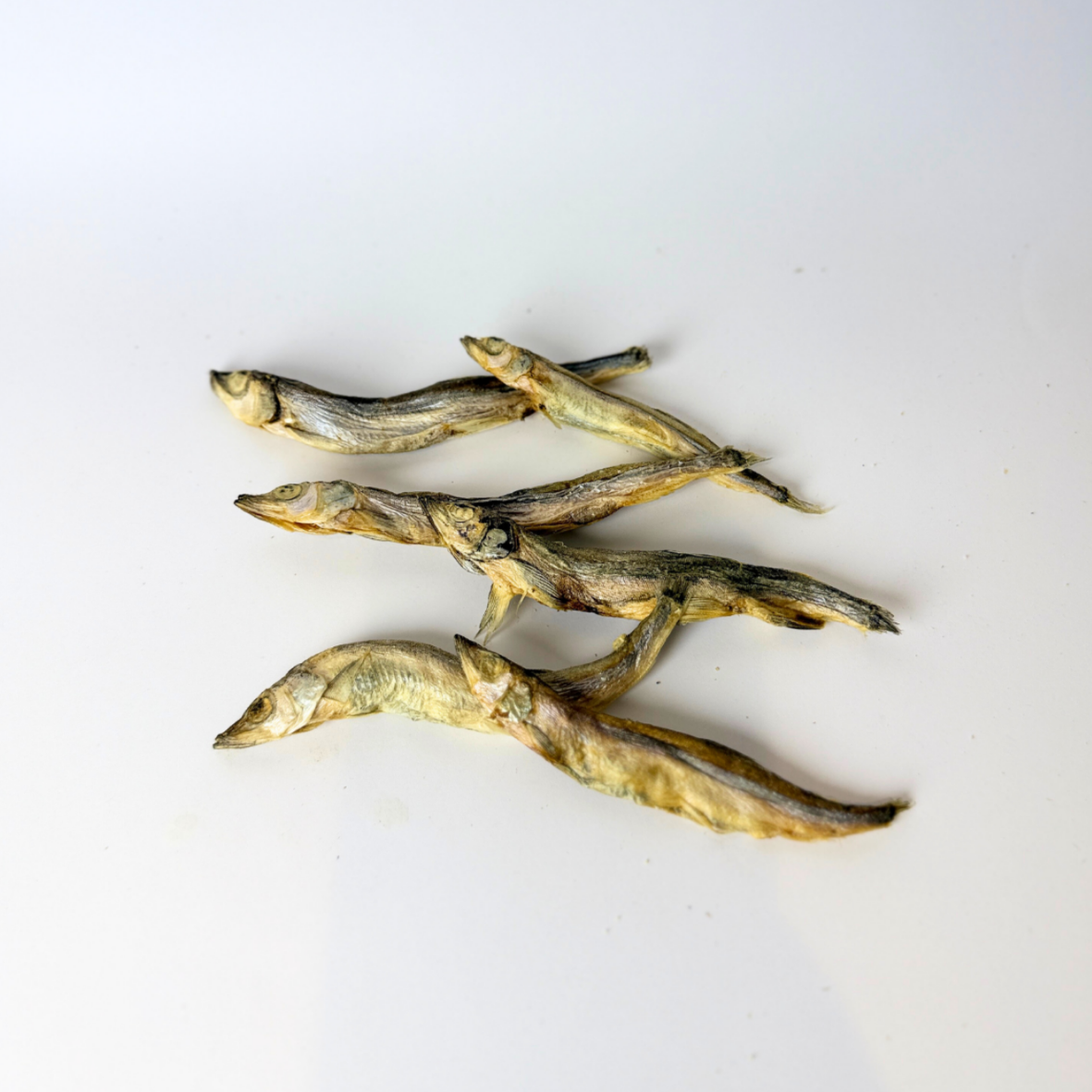 Kyndred Paws Freeze Dried Shishamo Fish